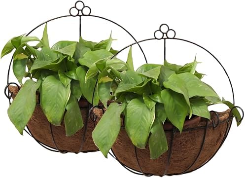 Tosnail 2 Pack Metal Wall Hanging Planter Basket with Coco Liner - Great for Indoor or Outdoor Plants