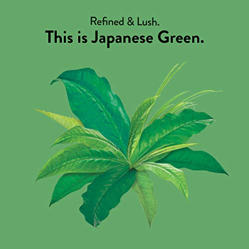 Choice Organics - Organic Japanese Green Tea (6 Pack) - Compostable - Contains Caffeine - 96 Organic Green Tea Bags