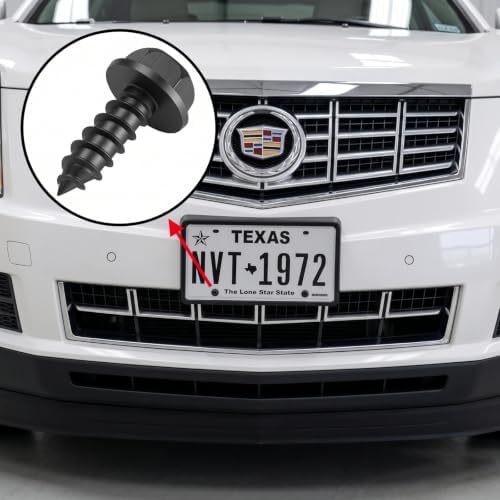 BBTO 50 Pcs License Plate Screws 3/4" x 1/4" Stainless Steel License Plate Bolts with Rustproof Silver Front Rear Bolt Fasteners Kit for Car