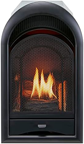 ProCom Dual Fuel Ventless Gas Fireplace Insert - Arched Door, 10,000 BTU, T-Stat Control - Model# PCS100T