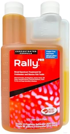 Rally Pro 8 oz. Round ( Pack of 2 )