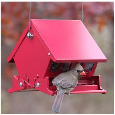 Audubon "Mini" Absolute Squirrel Resistant Bird Feeder Model 7458