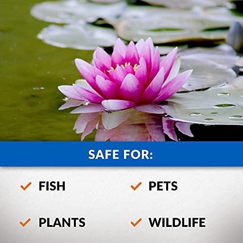 CrystalClear Algae D-Solv EPA Registered Pond Algaecide, 1 Gallon | Fast-Acting algae control for fountains & outdoor ponds containing koi & other fish, 1 gal treats 46,080 gallons.