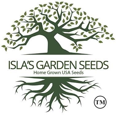 Date Plum Persimmon Tree Seeds (Diospyros Lotus) – 30+ Non-GMO & Heirloom Seeds, Exotic & Rare Fruit Tree, 80% Germination Rate