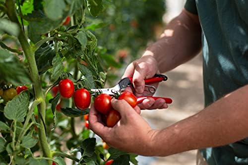 Felco F310 Pruning Snips – 7.3" Lightweight Garden Clippers for Fine Trimming & Harvesting | Pruning Shears for Gardening | Garden Snips and Pruners with Forged Aluminum Handles, Precision Tip