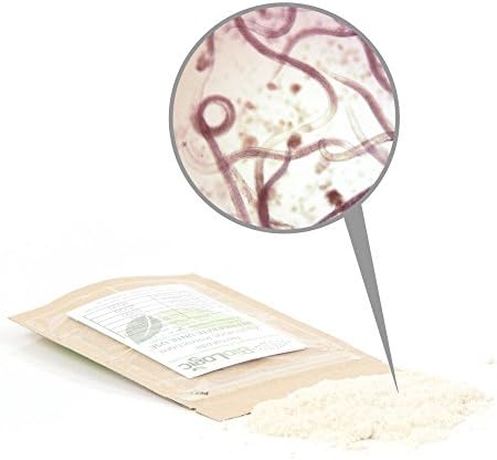 BioLogic's Scanmask Steinernema Feltiae (Sf) Beneficial Nematodes for Natural Insect Pest Control, 5 Million Size