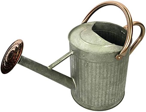 Gardener Select (W3006ZC-GCN-L7) Metal Watering Can - Modern Indoor & Outdoor Watering Pot with Handles for Flowers/Plants (7 Liter, Antique)