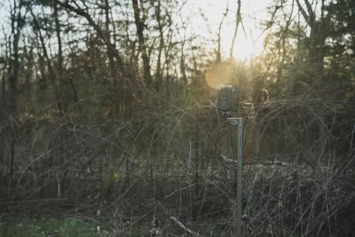 Stealth 29-Inch-49-Inch 1/4-Inch Steel Hunting Trail Camera | CAM Adjustable 29'-49' Expandable Height/4' Tripod Multi-Pivot Stable