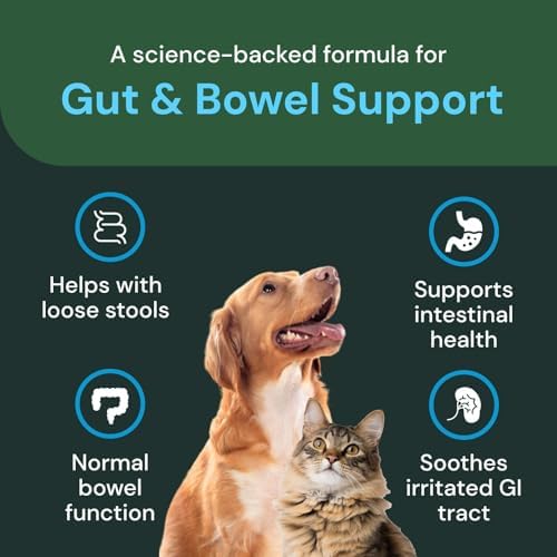 VETRISCIENCE Veterinary Strength Gut & Bowel Support for Dogs & Cats - Pet Digestive Health Supplement - Gut Health Formula - Intestinal Support