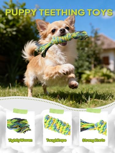 TwoEar Dog Rope Toy 4 Pack - Puppy Teething Toys for Small Breed