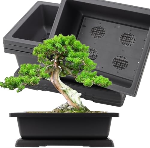 KINJOEK 25 PCS 6.5 Inch Plastic Bonsai Training Pots, Rectangular Plant Bonsai Tree Pot