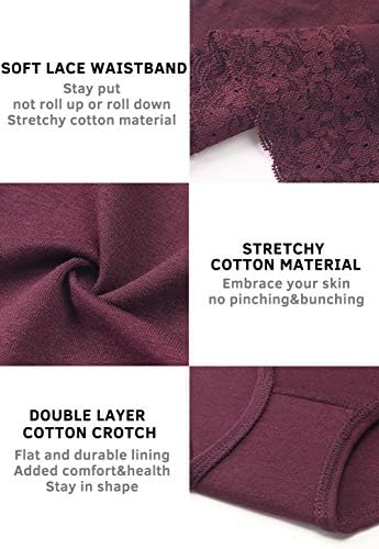 Wealurre Underwear Women Cotton Lace Waisted Bikini Panties 5-Pack