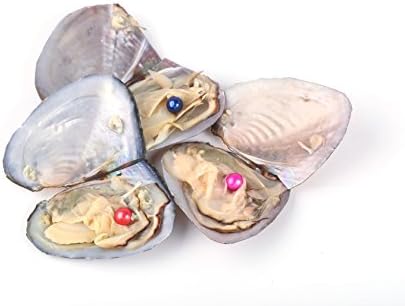 Freshwater Round Oyster Pearl Cultured Oysters with Pearls Inside 20 PC (7-8mm)