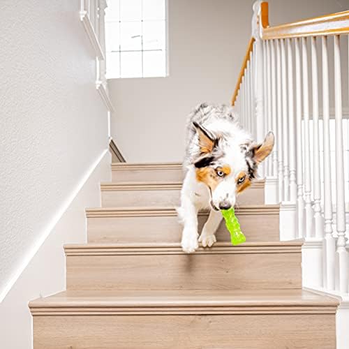 Hyper Pet Dura-Squeaks Stick Dog Toy, Large, Green