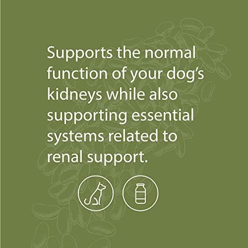 Standard Process Canine Renal Support - Dog Supplement for Kidney