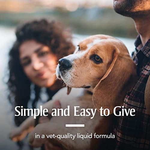 PetArmor Sure Shot Liquid Dewormer Dogs, Roundworms/Hookworms, 2oz | Ideal for Dogs & Puppies 2 Weeks+; Removes 2 Roundworms & 2 Hookworms; vet-quality formula; Precise Liquid Dosing