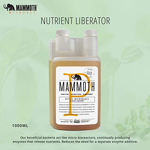 Mammoth Organic Bloom Booster | Mammoth P Organic Fertilizer Microbial Inoculant | 16% Proven Increase in Yield (250 ml)