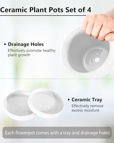 EFISPSS Ceramic Plant Pots, 5 Inch Planters with Drainage Holes and Ceramic Tray, Relief Design Flower Planter
