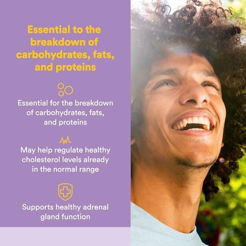 Natural Factors No Flush Niacin 500 mg, 90 Tablets