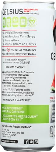CELSIUS Sparkling Peach Vibe, Functional Essential Energy Drink 12 Fl Oz (Pack of 4)