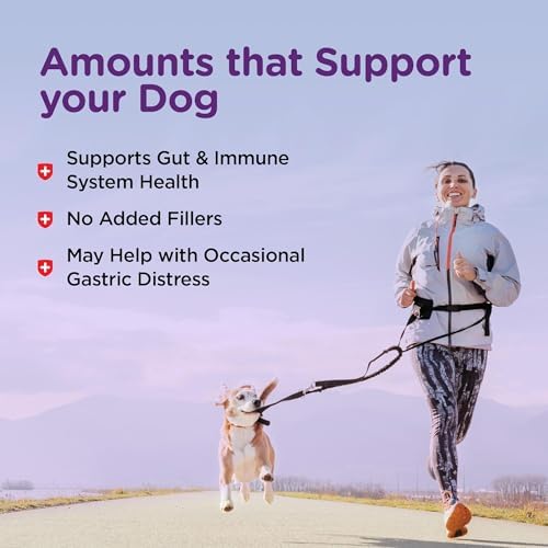 Nutri-Vet Bladder Control for Dogs, Dog Urinary Health Support, 90 Tablets | Dog Cranberry Supplement, Urinary Tract Support, Immune Support, Dog Bladder Health, Tablet Formula, Daily Wellness