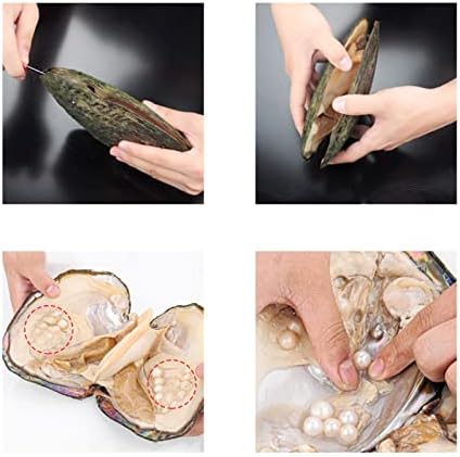 Oyster Pearls, Monster Oysters with Pearls Inside 5-8mm 25 PCs Cultured Freshwater Pearl Pearl an Oysters Home Decoration Jewelry Making