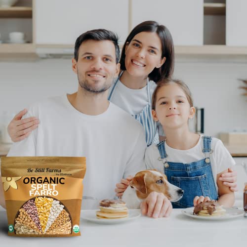 Organic Spelt Farro Grain 5.8 lb - Whole Wheat Berries Bulk Ancient Grains | Ideal for Flour