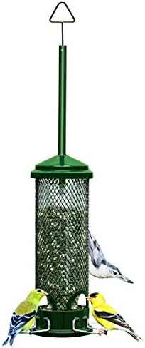 Squirrel Buster Mini Squirrel-Proof Bird Feeder for Wild Birds – 4 Metal Perches, 1 lb Seed Capacity, Chew-Proof Design, Lifetime Care
