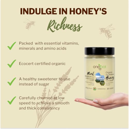 Oneroot 100% Organic Canadian Wildflower Honey - 17.6 Oz/1.1 Lbs, Unheated & Creamed - Nutrient-Rich