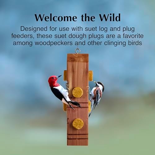 C&S Peanut Delight No Melt Suet Dough Plugs, Suet Plugs for Wild Birds, 12 Oz, 4 Count