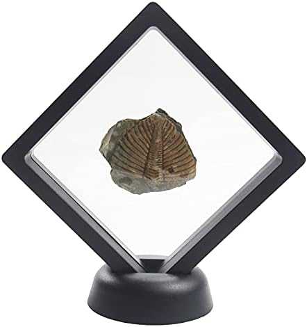 Challenge Coins Display Stand, Medallion Jewelry Specimen Holder, Military Medal Clear Floating Frame Case Box, 3.5"x3.5"x0.8"