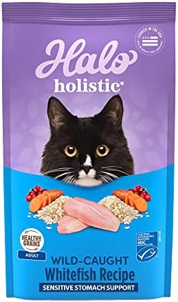 Halo Holistic Dry Cat Food for Sensitive Stomach, Wild-Caught Whitefish Natural Adult Cat Kibble with Healthy Grains, Probiotics & Omega Fatty Acids for Skin and Coat Health, 6 lb Bag