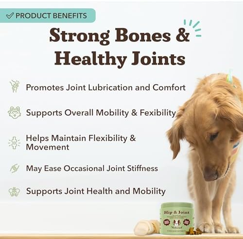 Natural Dog Company Liquid Glucosamine Hip & Joint Oil for Dogs, 16 oz, Extra Strength Cartilage & Joint Support, Helps Mobility and Eases Occasional Stiffness, Dog Vitamins & Supplements