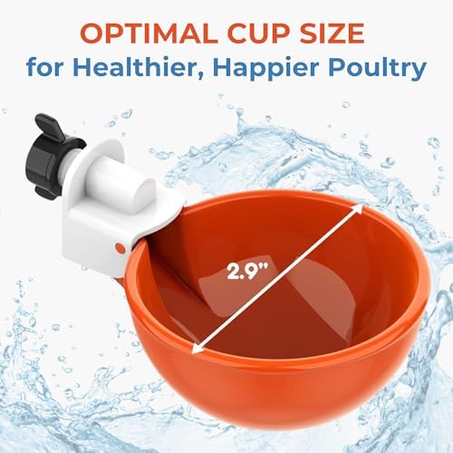 Lil'Clucker Large Automatic Chicken Waterer Cups | Chicken Water Feeder Suitable for Chicks, Duck, Goose