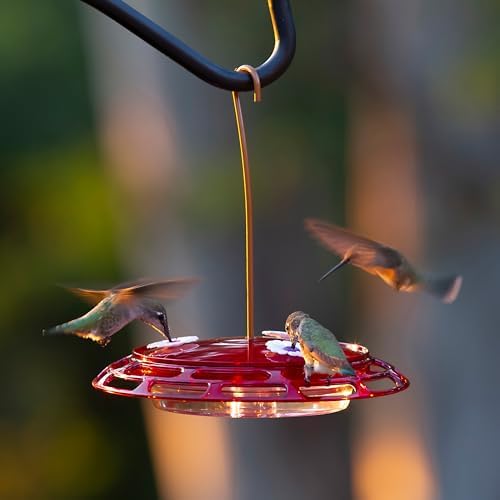 More Birds 3-in-1 Hummingbird Feeder 6 fl oz Red Plastic Window Mount Hanging Outdoor Bird Feeder with Suction Cup Hanger for Backyard Birding