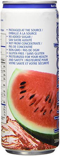 Blue Monkey 100% Pure Watermelon Juice - No Sugar Added, Not from Concentrate - Halal Certified - Plant-Based Hydration Drink with Vitamin C