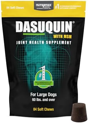 Nutramax Dasuquin MSM Joint Supplement for Large Dogs, Soft Chews, 84ct | Glucosamine and Chondroitin, ASU, MSM, Supports Healthy Joints, For Dogs Over 60 lbs, All Ages, Soft Chews