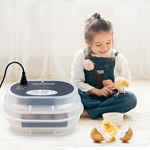 HBlife Digital Egg Incubator for Hatching 9-12 Chicken, Quail and Duck Eggs, with Fully Automatic Egg Turning and Temperature Display