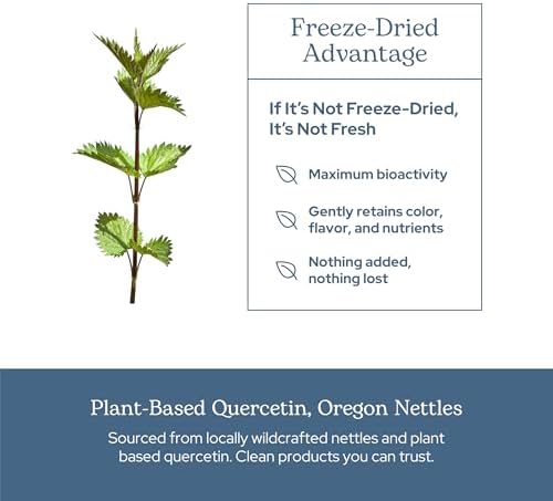 Eclectic Herb - Nettle Quercetin Capsules | Non-GMO, Vegan | 90 CT