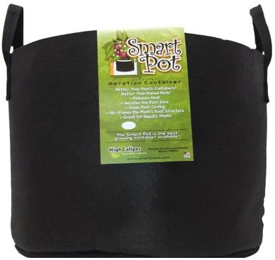 Round Pot Planter Size: 15 Gallons