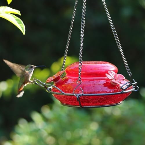 Nature's Way Bird Products MHF4 Hand Blown Garden Top Fill Hummingbird Feeder, 16 oz Capacity, Red