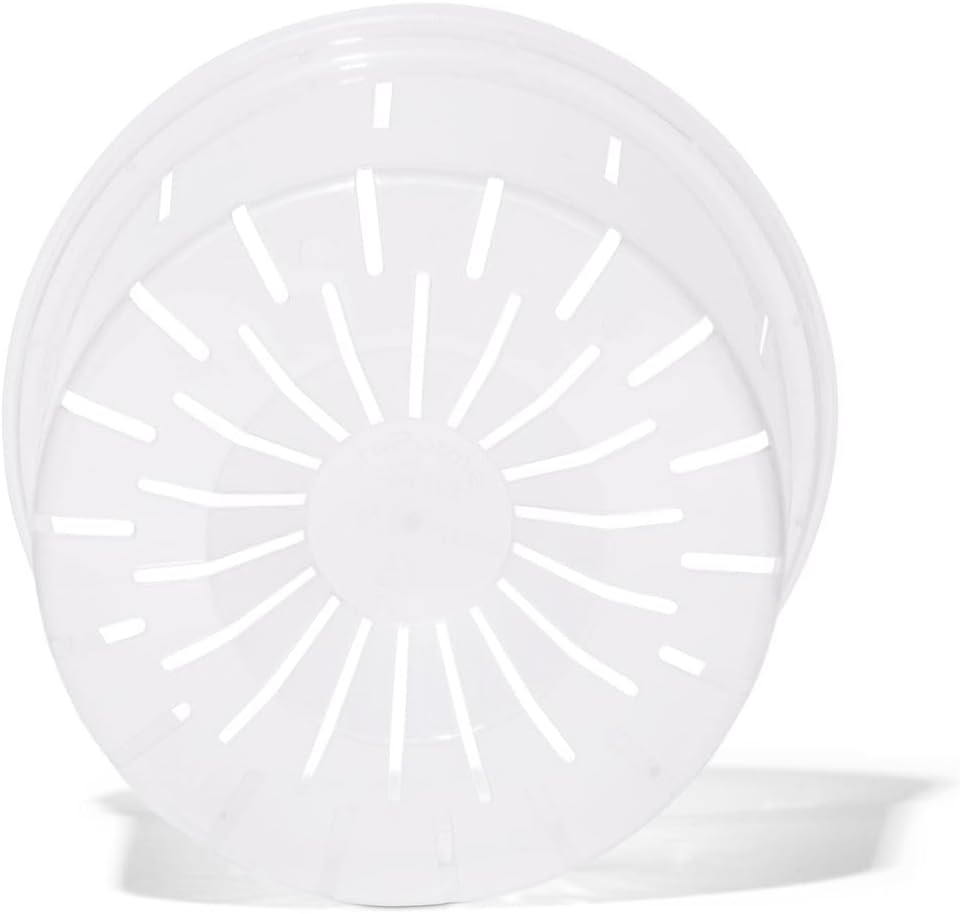 Orchid Pot - 6 inch Slotted Clear Orchid Pots - 3 Pack (Crystal Clear)