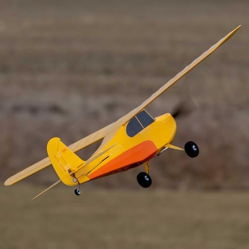 HobbyZone Champ Anniversary Special Edition 515mm BNF Basic with Safe Select, HBZ04950