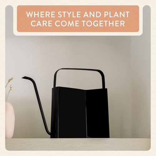 Modern Sprout Brass Watering Can - 3L Stainless Steel - Long Spout (Black)