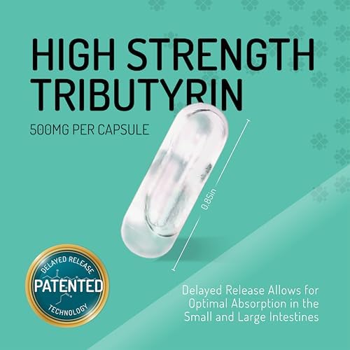 Healus Complete Biotic Postbiotic Tributyrin Supplement Butyrate Gut Health | Patented Delayed-Release Capsules