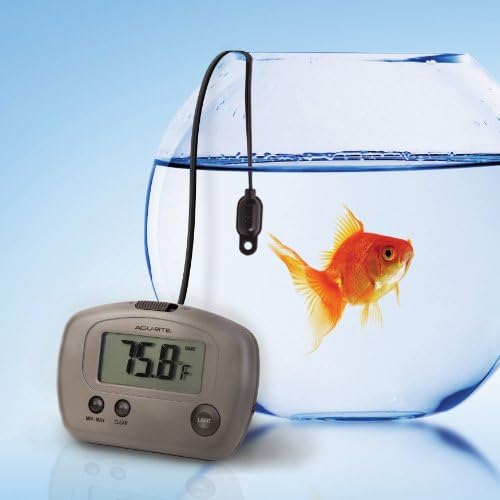 AcuRite 00888A3 Indoor/Outdoor Digital Thermometer,Silver,Small
