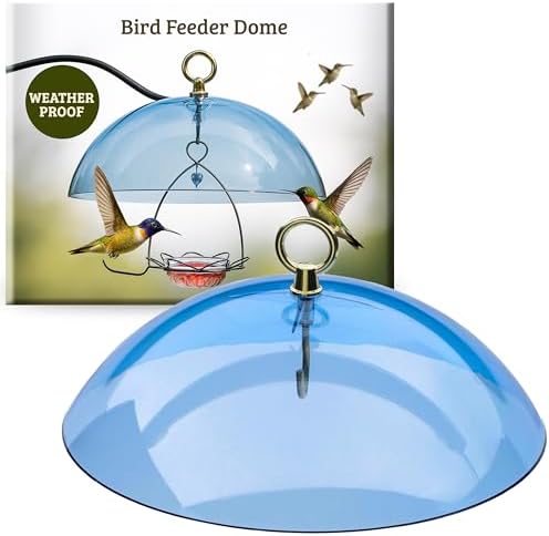 Birds Choice Red Bird Feeder Dome | 10.5" Rain Guard Cover for Hanging Bird Feeders | Outdoor Weather Guard to Help Keep Seed Dry | Domed Acrylic Outdoor Weather Guard for Hanging Feeders to Keep Seed Dry, Heavy-Duty Chrome-Plated Hanger and Hook