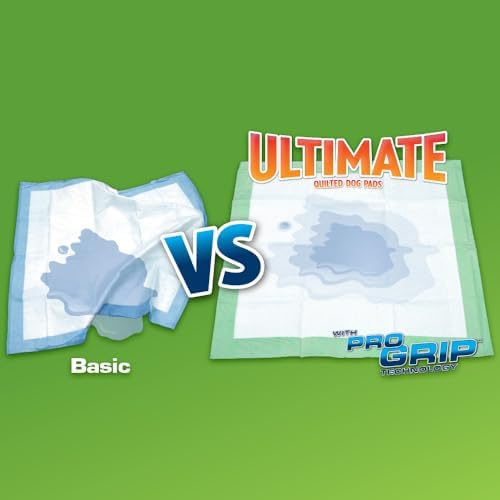 OUT! PetCare Large Dog Pee Pads, Leak Proof Training Pads, 21x21, 50 Count | Doggy Pee Pads, Leak Proof, Odor Control, Extra Absorbent, Potty Training, Housebreaking, Crate Training, Travel Use