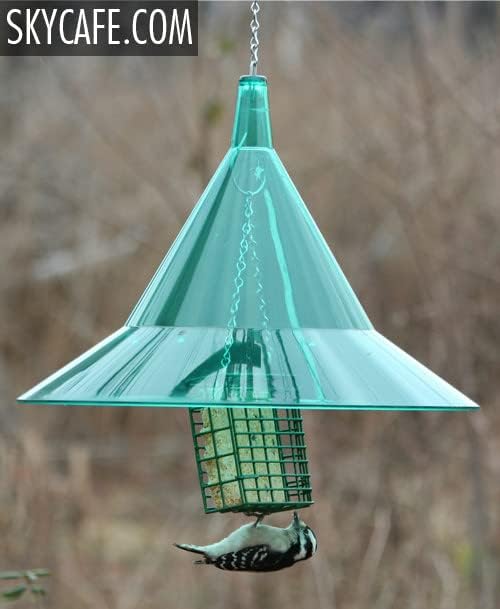 Squirrel Baffle - for Outside Bird House and Feeder Pole - Premium Large 17” Dome - by Arundale Made in USA (Crystal Clear)