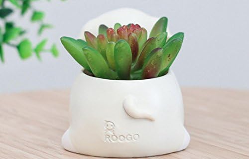 Labrador Dog Planters, Animal Shaped Cartoon Succulent Planter Pots for Office, Window, Kitchen and Balcony, Resin